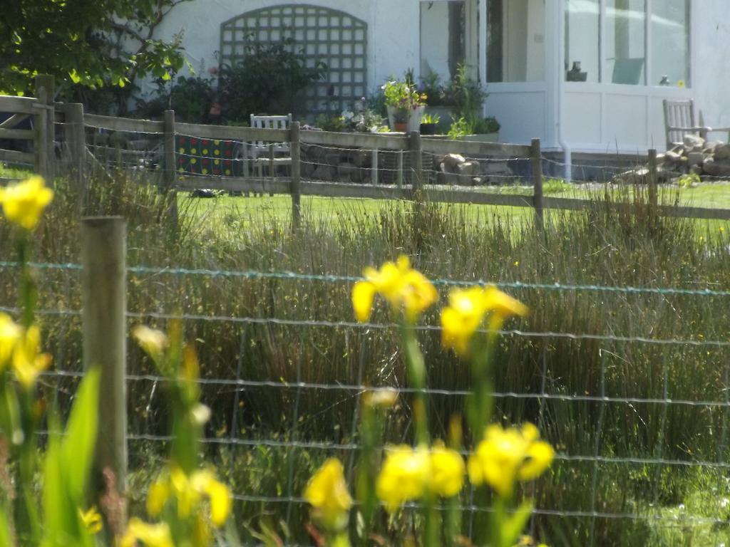 The Swallows Guest House New Quay  Oda fotoğraf